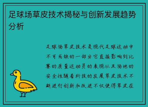 足球场草皮技术揭秘与创新发展趋势分析