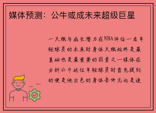 媒体预测：公牛或成未来超级巨星