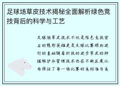 足球场草皮技术揭秘全面解析绿色竞技背后的科学与工艺